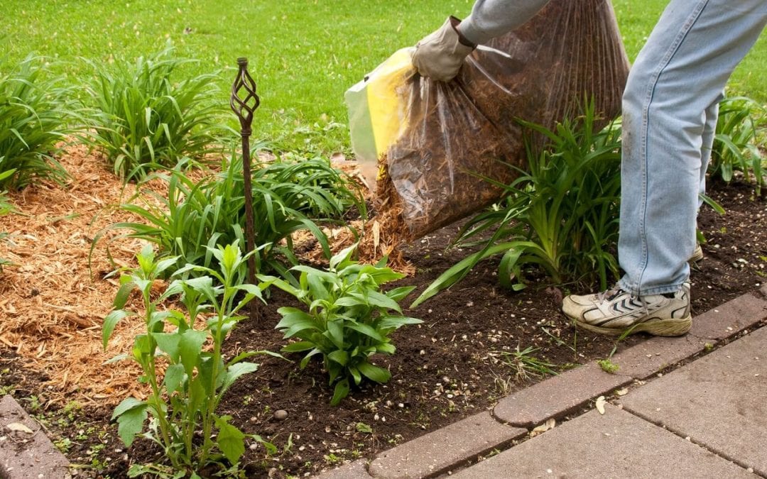 summertime home maintenance includes mulching the flower beds